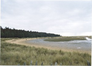 Holkham