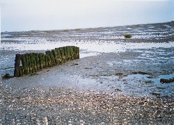 Rampside beach